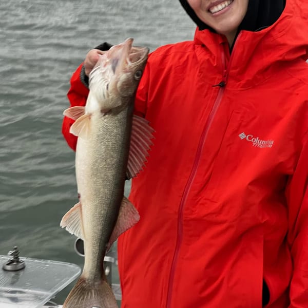 Lake Erie walleye charter group
